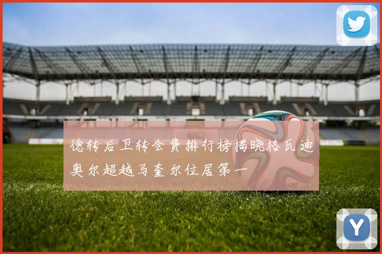 德转后卫转会费排行榜揭晓格瓦迪奥尔超越马奎尔位居第一
