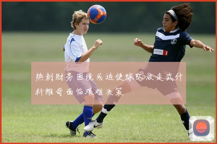 热刺财务困境或迫使球队放走武什科维奇面临艰难决策