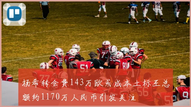 杨希转会费143万欧或成本土标王总额约1170万人民币引发关注