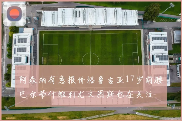 阿森纳有意报价格鲁吉亚17岁前腰巴尔蒂什维利尤文图斯也在关注